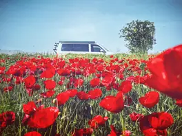 Volkswagen california 6,1