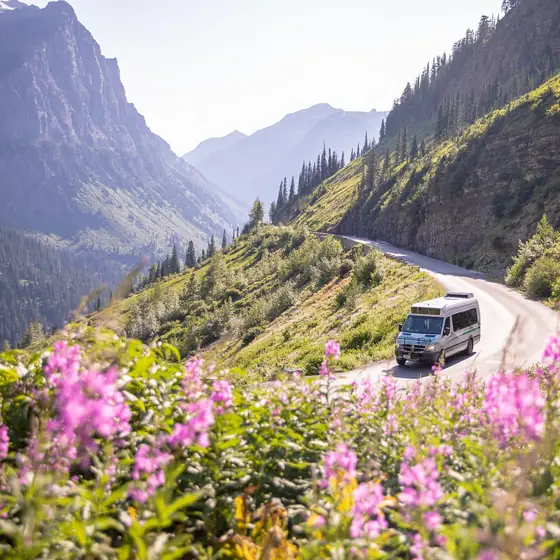 Furgoneta camper subiendo una carretera de montaña con flores rosas en primer plano